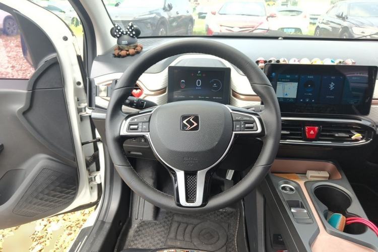 Used SOL E10X 2021 302 km Range Luxury Version 31.4 kWh Steering Wheel
