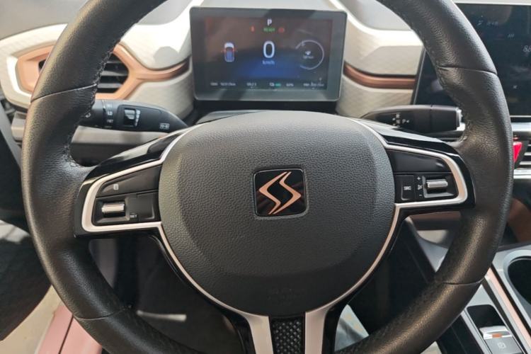 Used SOL E10X 2021 302 km Range Fashion Edition 31.4 kWh Steering Wheel