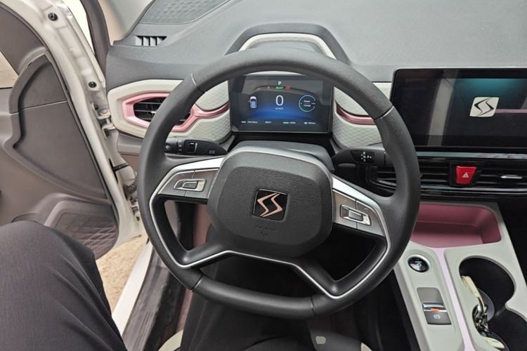 Used SOL E10X 2021 302 km Range Fashion Edition 31.4 kWh Steering Wheel