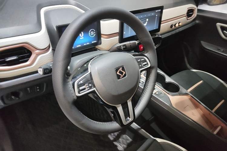 Used SOL E10X 2021 302 km Range Fashion Edition 31.4 kWh Steering Wheel