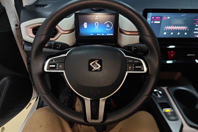 Used SOL E10X 2021 302 km Range Fashion Edition 31.4 kWh Steering Wheel