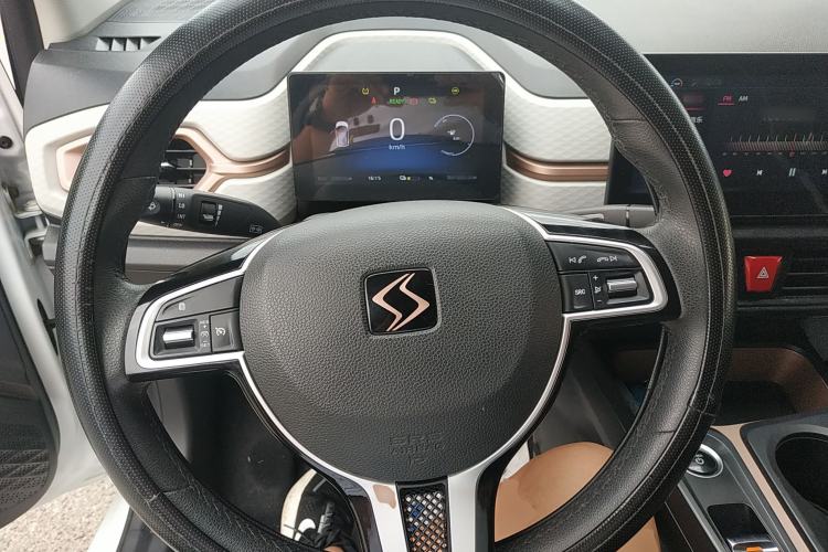Used SOL E10X 2021 302 km Range Luxury Version 31.4 kWh Steering Wheel