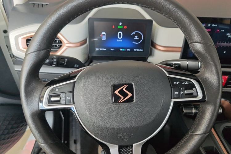 Used SOL E10X 2021 302 km Range Fashion Edition 31.4 kWh Steering Wheel