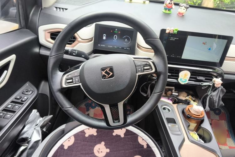 Used SOL E10X 2021 302 km Range Luxury Version 30.2 kWh Steering Wheel