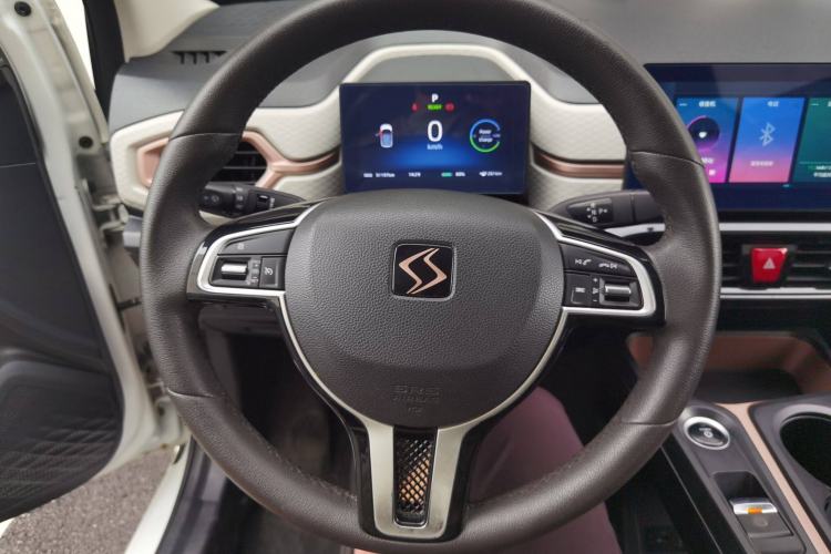 Used SOL E10X 2021 302 km Range Luxury Version 30.2 kWh Steering Wheel