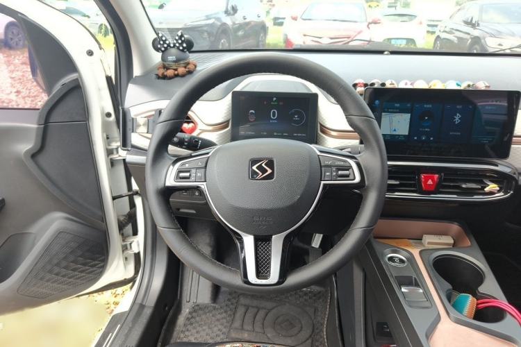 Used SOL E10X 2021 302 km Range Luxury Version 31.4 kWh Steering Wheel