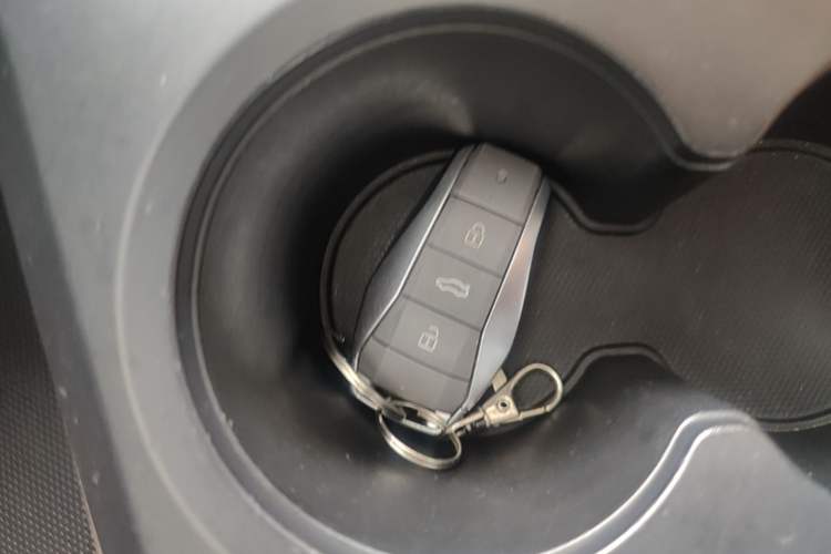 Used SOL E10X 2021 302 km Range Ultra-Advanced Version 31.4 kWh Vehicle Key