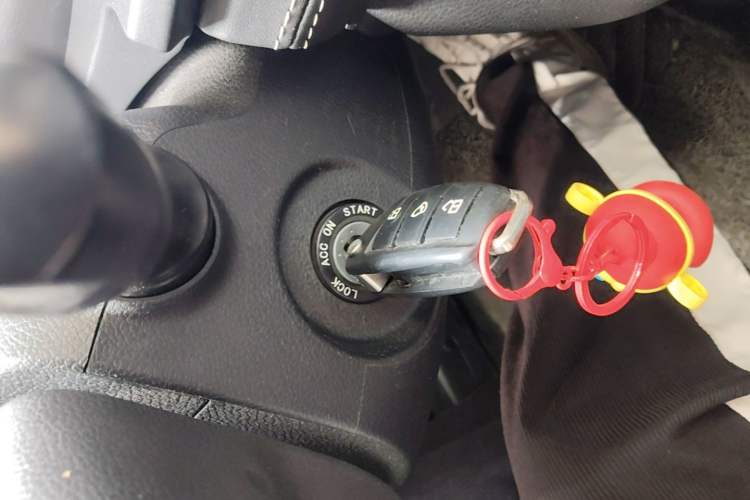 Used SOL E10X 2021 200km Classic Type Vehicle Key