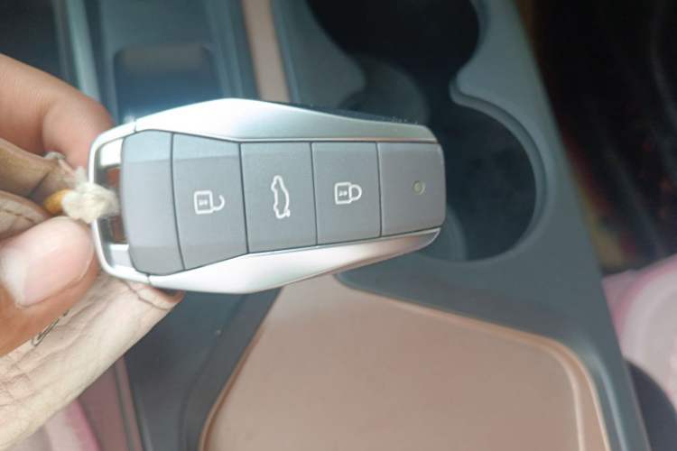 Used SOL E10X 2021 Jimei Edition 302km Fashionable Model Vehicle Key