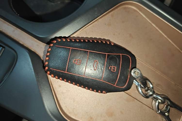 Used SOL E10X 2021 Jimei Edition 302km Luxury Model Vehicle Key