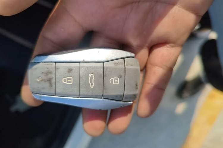 Used SOL E10X 2021 Jimei Edition 302km Fashionable Model Vehicle Key