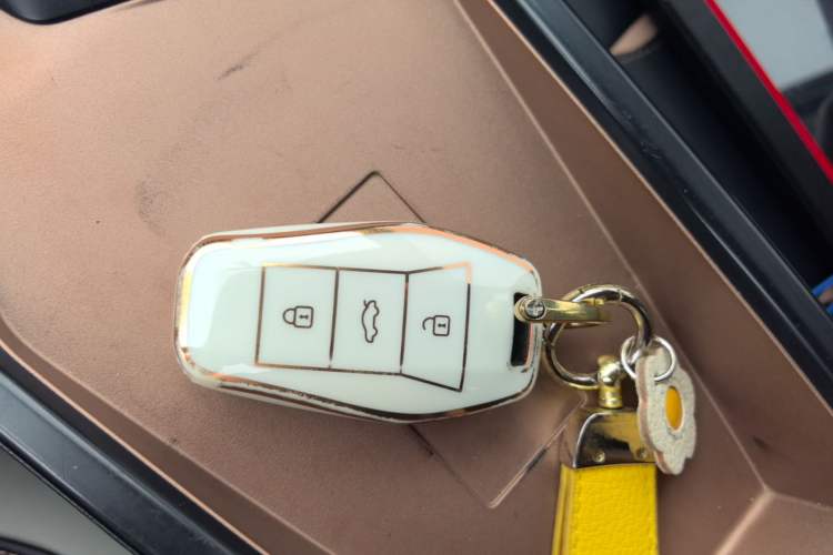 Used SOL E10X 2021 Jimei Edition 302km Beyond Model Vehicle Key