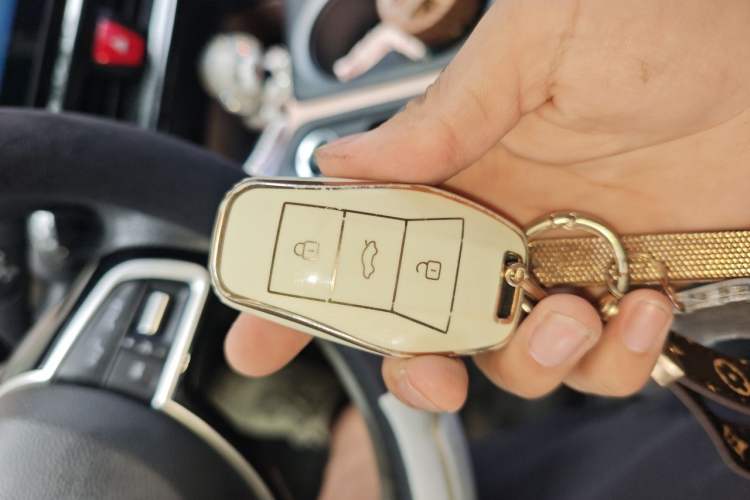 Used SOL E10X 2021 302 km Range Fashion Edition 31.4 kWh Vehicle Key