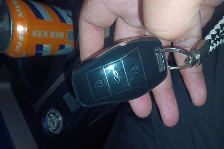 Used SOL E10X 2021 302 km Range Fashion Edition 31.4 kWh Vehicle Key
