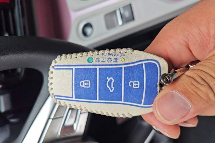 Used SOL E10X 2021 302 km Range Fashion Edition 31.4 kWh Vehicle Key