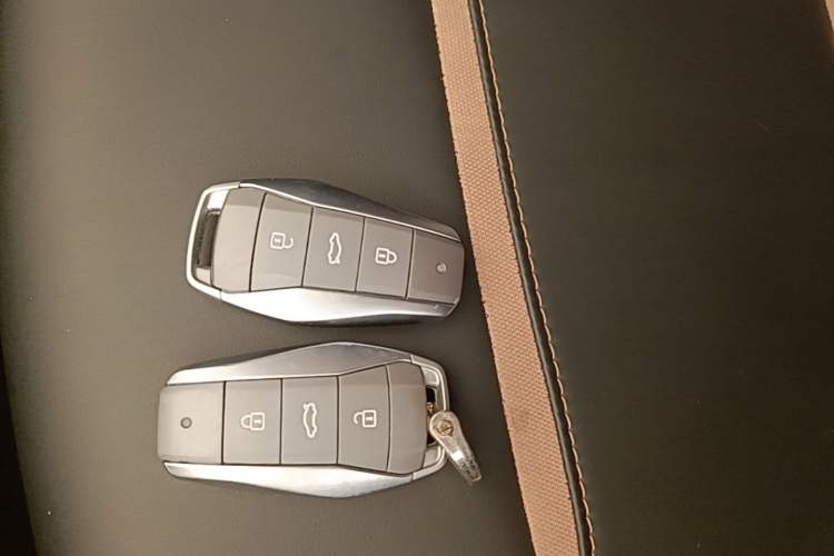 Used SOL E10X 2021 Jimei Edition 302km Luxury Model Vehicle Key