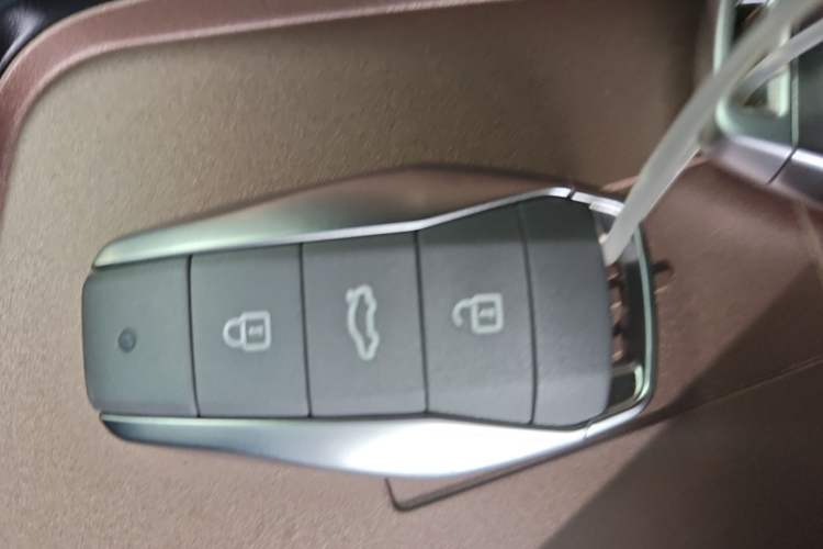Used SOL E10X 2021 Jimei Edition 302km Fashionable Model Vehicle Key