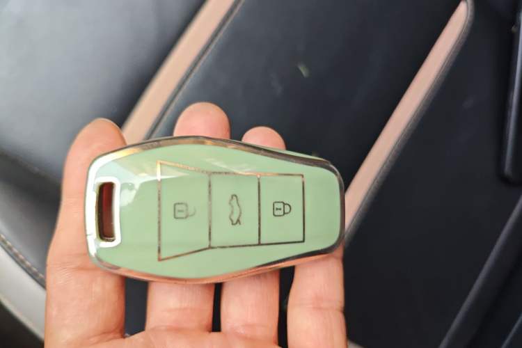 Used SOL E10X 2021 302 km Range Fashion Edition 31.4 kWh Vehicle Key