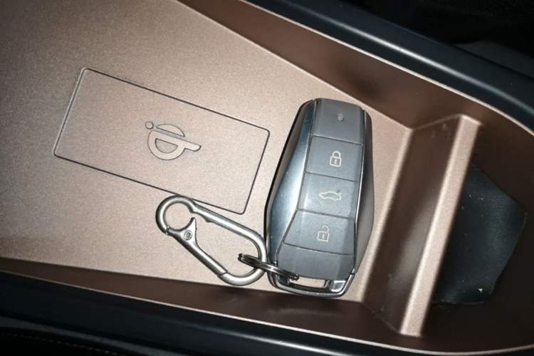 Used SOL E10X 2021 302 km Range Fashion Edition 31.4 kWh Vehicle Key