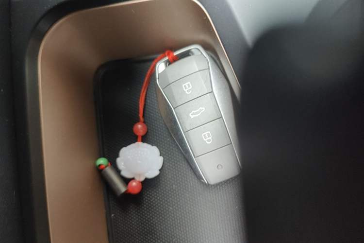 Used SOL E10X 2021 302 km Range Fashion Edition 31.4 kWh Vehicle Key