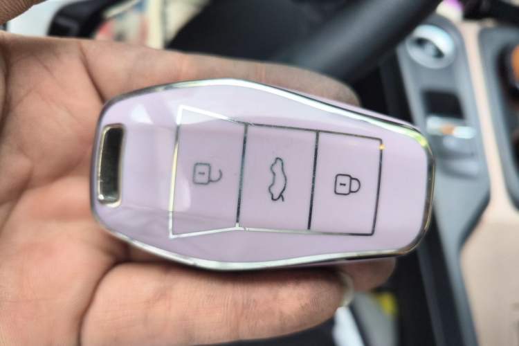 Used SOL E10X 2021 302 km Range Luxury Version 30.2 kWh Vehicle Key