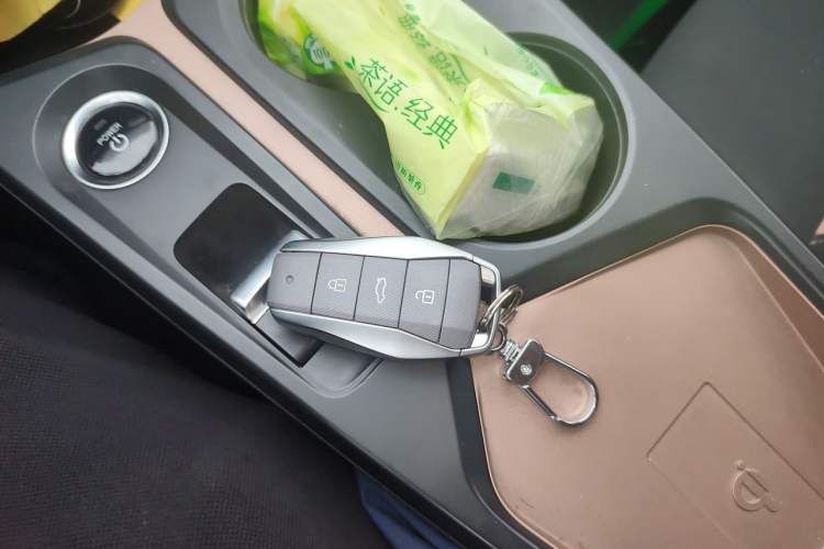 Used SOL E10X 2021 302 km Range Luxury Version 30.2 kWh Vehicle Key