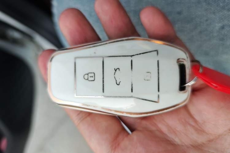 Used SOL E10X 2021 302km Range Superior Version 30.2 kWh Vehicle Key
