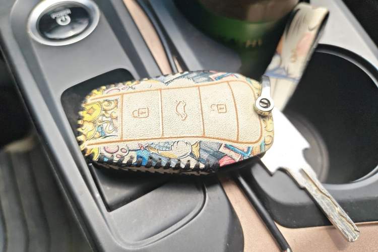 Used SOL E10X 2021 302 km Range Fashion Edition 31.4 kWh Vehicle Key