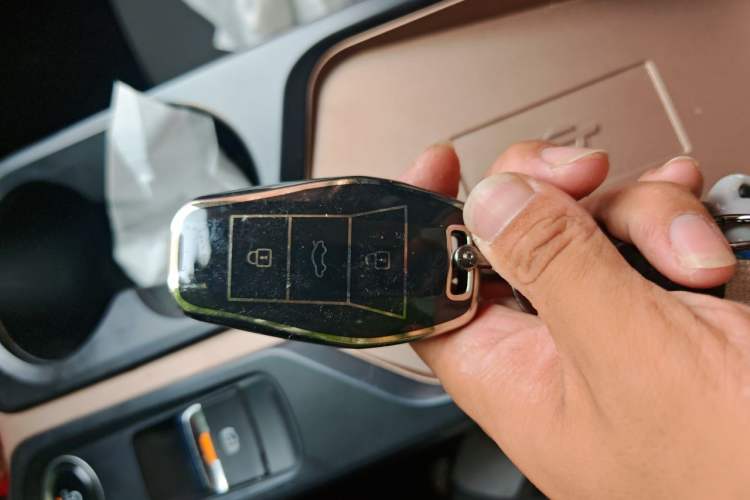 Used SOL E10X 2021 Jimei Edition 302km Fashionable Model Vehicle Key