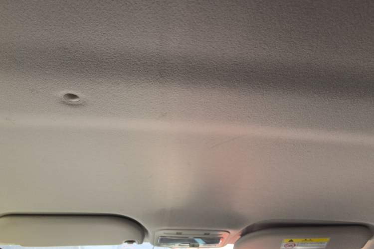 Used SOL E10X 2021 302km Range Superior Version 30.2 kWh Headliner