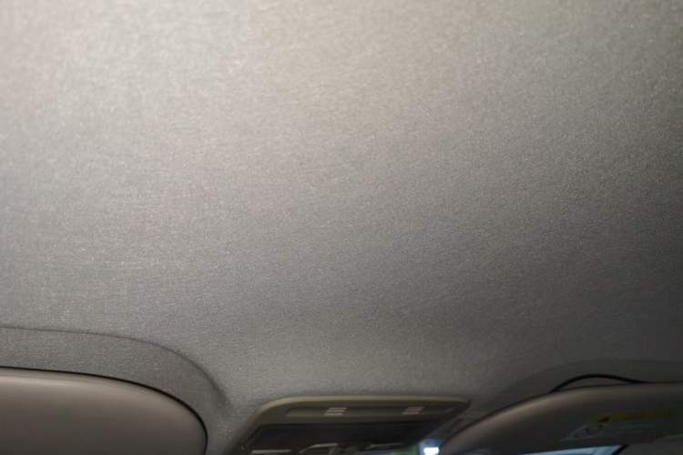 Used SOL E10X 2021 302 km Range Luxury Version 30.2 kWh Headliner