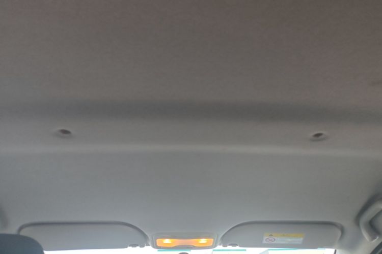 Used SOL E10X 2021 302 km Range Luxury Version 30.2 kWh Headliner