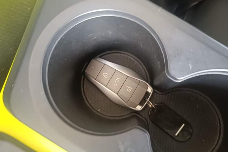 Used SOL E10X 2021 302 km Range Luxury Version 31.4 kWh Interior 1