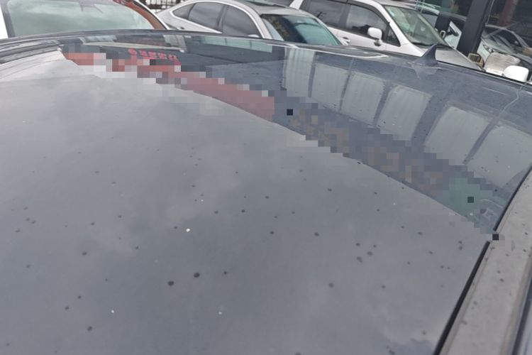 Used SOL E10X 2021 302 km Range Luxury Version 31.4 kWh Roof
