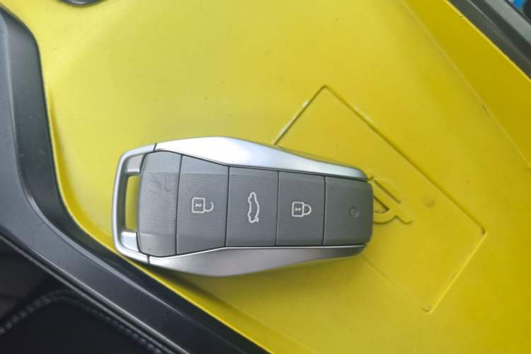 Used SOL E10X 2021 Jimei Edition 302km Fashionable Model Vehicle Key