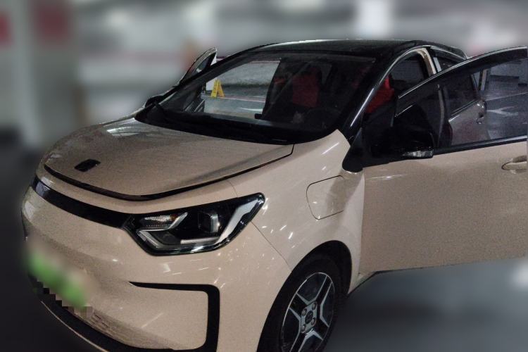 Used SOL E10X 2022 Flower Fairy Design Four-Leaf Clover Guazi used car, China used car export, Used car for sale, Used cars, Cheapest cars for sale