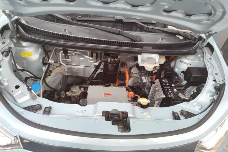 Used SOL E10X 2022 Flower Fairy Style Baby's Breath Engine Bay