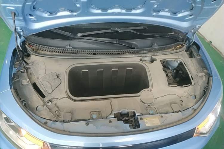 Used SOL E10X 2022 Flower Fairy Design Sunflower Engine Bay