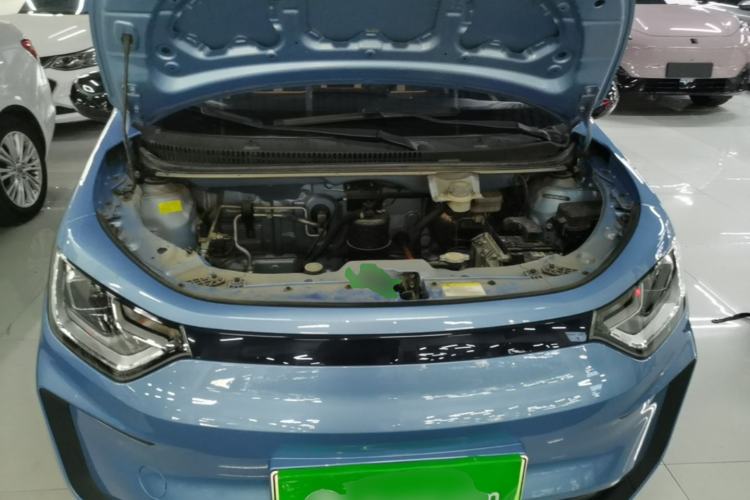 Used SOL E10X 2022 Flower Fairy Design Four-Leaf Clover Engine Bay