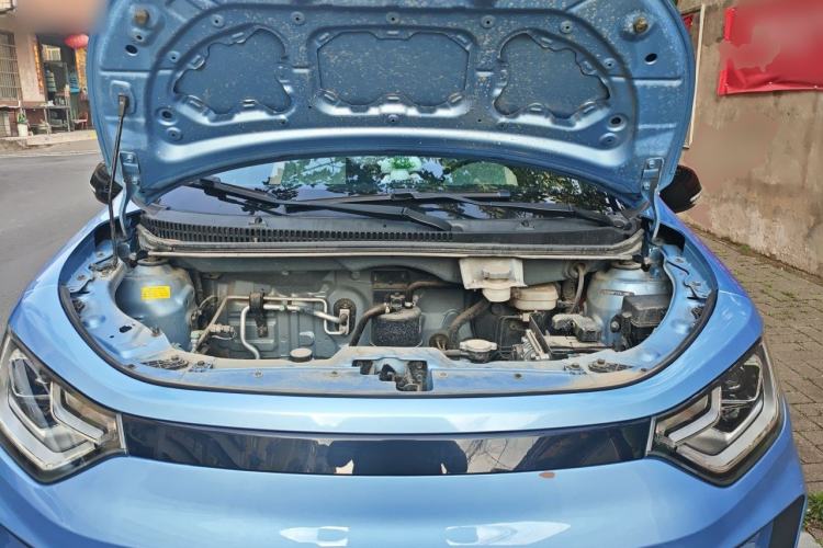 Used SOL E10X 2022 Flower Fairy Style Baby's Breath Engine Bay