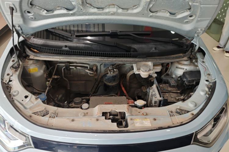 Used SOL E10X 2022 Flower Fairy Style Baby's Breath Engine Bay