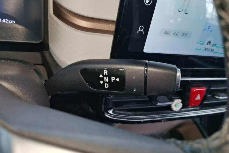 Used SOL E10X 2022 Flower Fairy Style Baby's Breath Gear Lever