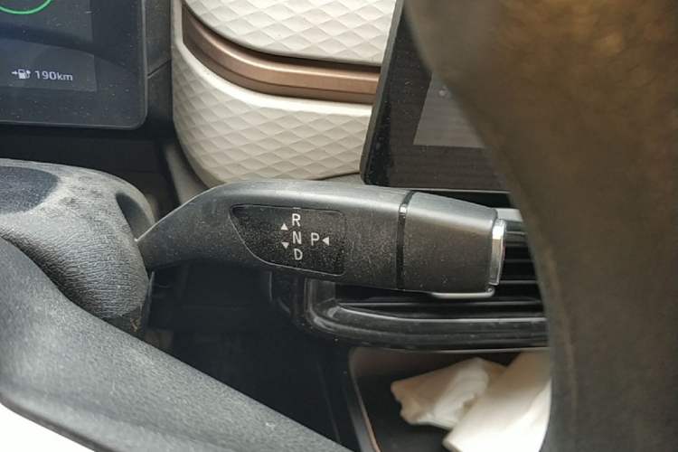 Used SOL E10X 2022 Flower Fairy Design Four-Leaf Clover Gear Lever