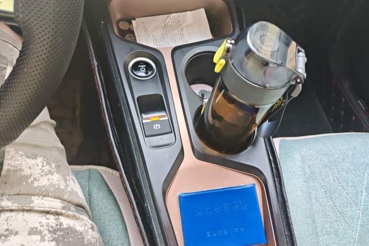 Used SOL E10X 2022 Flower Fairy Style Baby's Breath Gear Lever