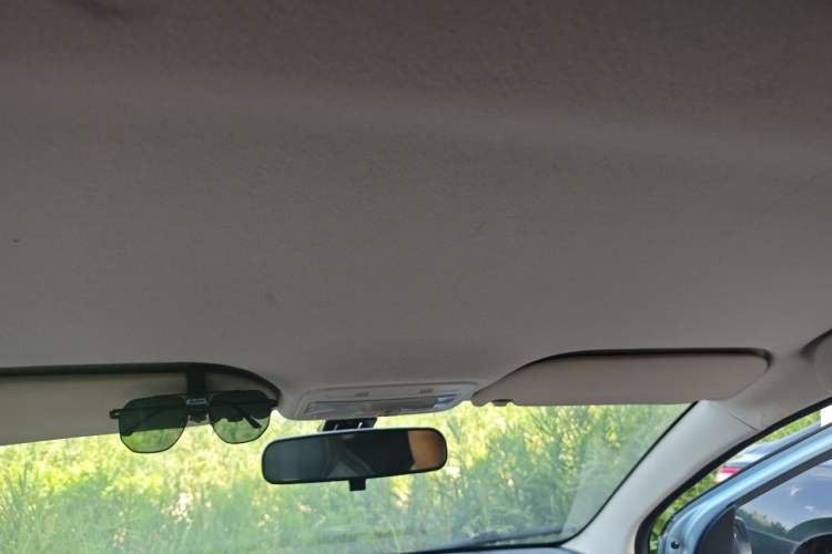 Used SOL E10X 2022 Flower Fairy Design Four-Leaf Clover Headliner