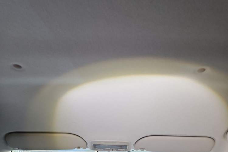 Used SOL E10X 2022 Flower Fairy Style Baby's Breath Headliner