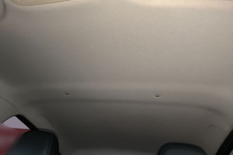 Used SOL E10X 2022 Flower Fairy Design Four-Leaf Clover Headliner