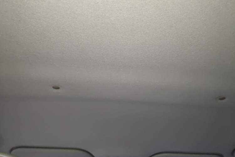Used SOL E10X 2022 Flower Fairy Design Four-Leaf Clover Headliner