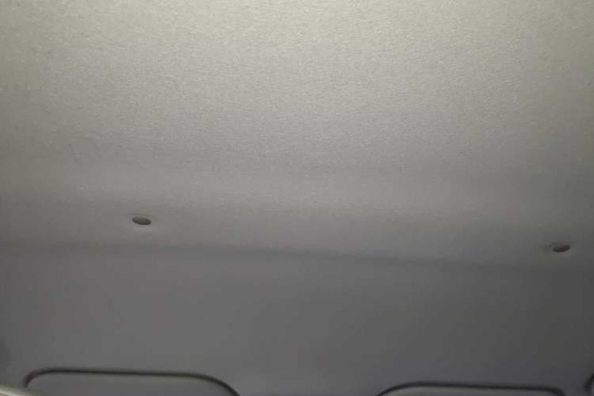 Used SOL E10X 2022 Flower Fairy Design Four-Leaf Clover Headliner