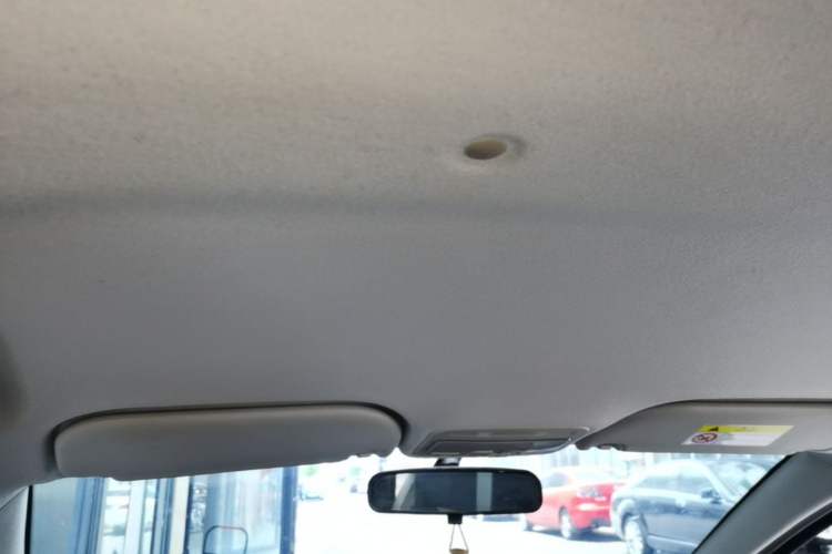 Used SOL E10X 2022 Flower Fairy Style Baby's Breath Headliner